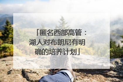匿名西部高管：湖人对布朗尼有明确的培养计划