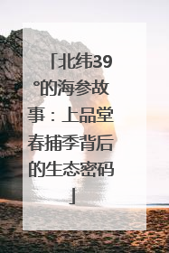 北纬39°的海参故事：上品堂春捕季背后的生态密码