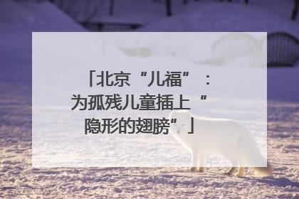 北京“儿福”：为孤残儿童插上“隐形的翅膀”