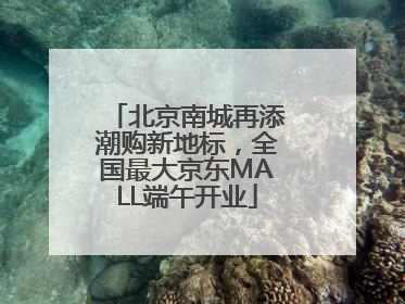 北京南城再添潮购新地标，全国最大京东MALL端午开业