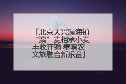 北京大兴瀛海镇“瀛”麦相承小麦丰收开镰 奏响农文旅融合新乐章