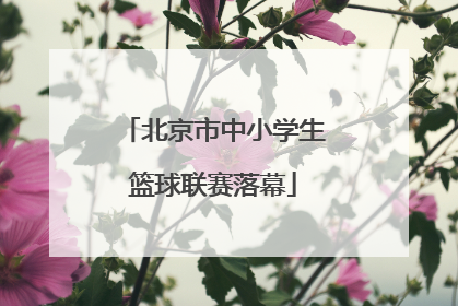北京市中小学生篮球联赛落幕
