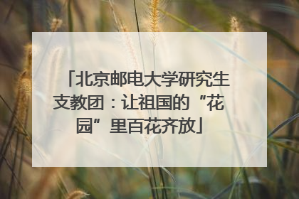 北京邮电大学研究生支教团：让祖国的“花园”里百花齐放