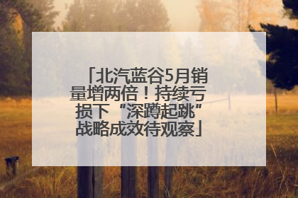 北汽蓝谷5月销量增两倍！持续亏损下“深蹲起跳”战略成效待观察