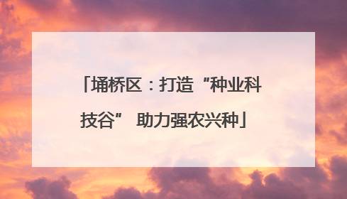 埇桥区：打造“种业科技谷” 助力强农兴种