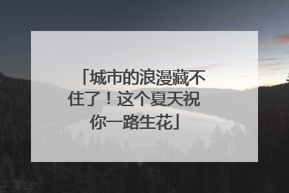 城市的浪漫藏不住了！这个夏天祝你一路生花