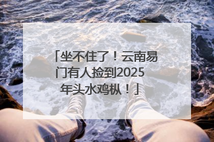 坐不住了！云南易门有人捡到2025年头水鸡枞！