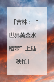 吉林：“世界黄金水稻带”上插秧忙