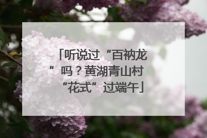 听说过“百衲龙”吗？黄湖青山村“花式”过端午