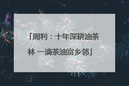 周利：十年深耕油茶林 一滴茶油富乡邻