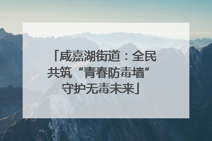 咸嘉湖街道：全民共筑“青春防毒墙” 守护无毒未来