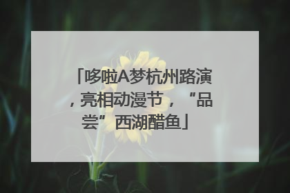 哆啦A梦杭州路演，亮相动漫节，“品尝”西湖醋鱼