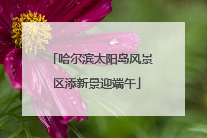 哈尔滨太阳岛风景区添新景迎端午
