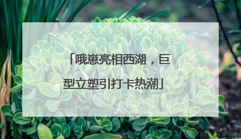 哦崽亮相西湖，巨型立塑引打卡热潮
