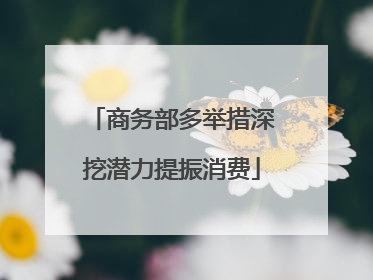商务部多举措深挖潜力提振消费