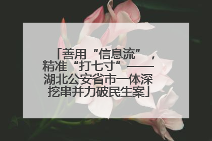善用“信息流”，精准“打七寸”——湖北公安省市一体深挖串并力破民生案