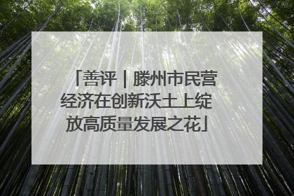 善评｜滕州市民营经济在创新沃土上绽放高质量发展之花