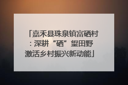 嘉禾县珠泉镇富硒村：深耕“硒”望田野 激活乡村振兴新动能