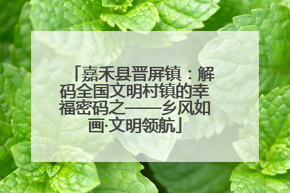嘉禾县晋屏镇：解码全国文明村镇的幸福密码之——乡风如画·文明领航