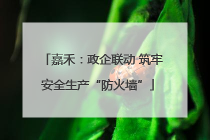 嘉禾：政企联动 筑牢安全生产“防火墙”