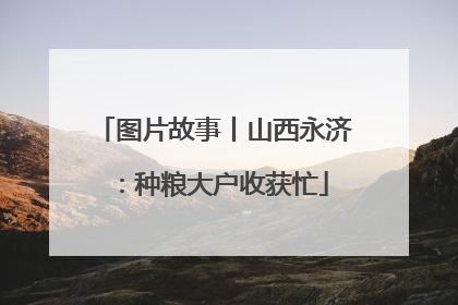 图片故事丨山西永济：种粮大户收获忙