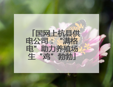 国网上杭县供电公司：“满格电”助力养殖场生“鸡”勃勃