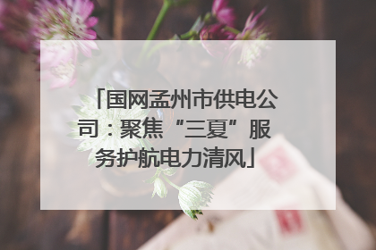 国网孟州市供电公司：聚焦“三夏”服务护航电力清风