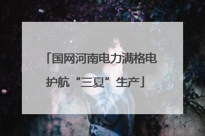国网河南电力满格电护航“三夏”生产