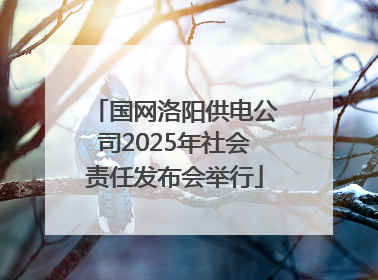国网洛阳供电公司2025年社会责任发布会举行