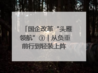 国企改革“头雁领航”③｜从负重前行到轻装上阵 重庆以“瘦身”谋“健体”