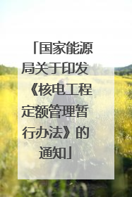 国家能源局关于印发《核电工程定额管理暂行办法》的通知