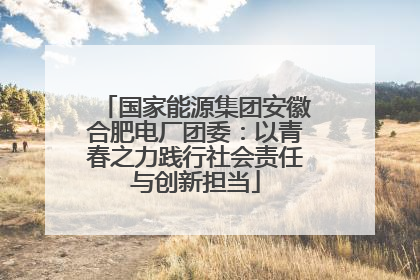 国家能源集团安徽合肥电厂团委：以青春之力践行社会责任与创新担当