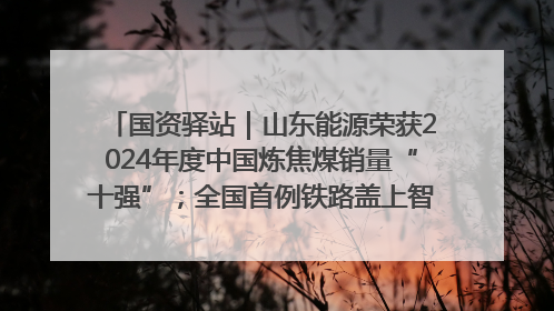 国资驿站｜山东能源荣获2024年度中国炼焦煤销量“十强”；全国首例铁路盖上智慧物流园钢结构主体完工