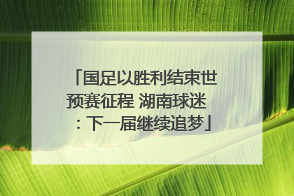 国足以胜利结束世预赛征程 湖南球迷：下一届继续追梦