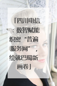 四川电信：数智赋能织密“普遍服务网”，绘就巴蜀新画卷