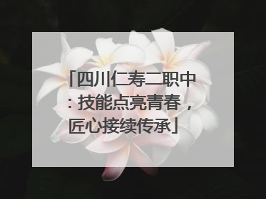 四川仁寿二职中：技能点亮青春，匠心接续传承