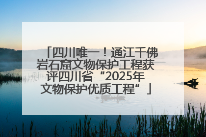 四川唯一！通江千佛岩石窟文物保护工程获评四川省“2025年文物保护优质工程”