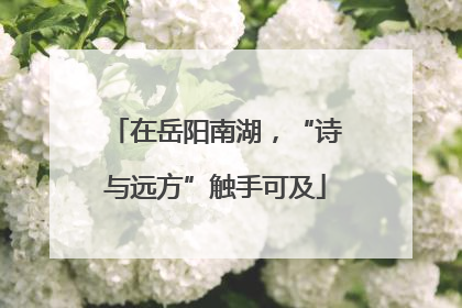 在岳阳南湖，“诗与远方”触手可及