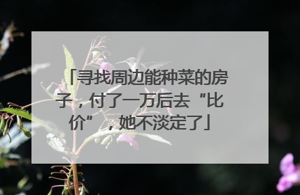 寻找周边能种菜的房子，付了一万后去“比价”，她不淡定了