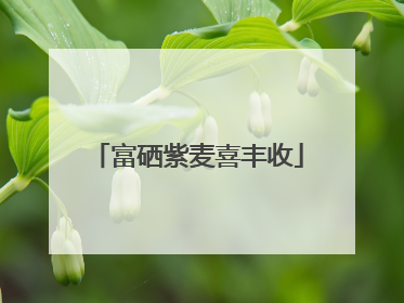 富硒紫麦喜丰收