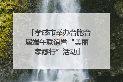 孝感市举办台胞台属端午联谊暨“美丽孝感行”活动