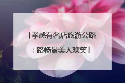 孝感有名店旅游公路：路畅景美人欢笑