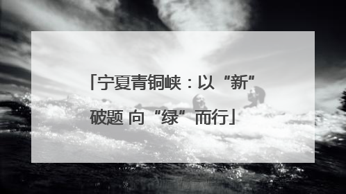 宁夏青铜峡：以“新”破题 向“绿”而行