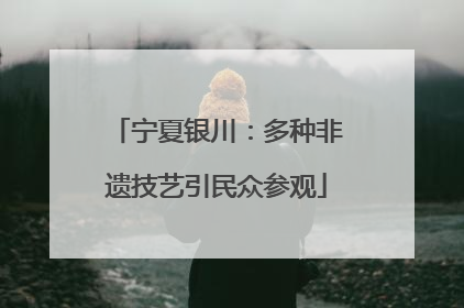 宁夏银川：多种非遗技艺引民众参观