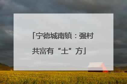 宁德城南镇：强村共富有“土”方