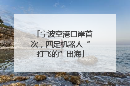 宁波空港口岸首次，四足机器人“打飞的”出海