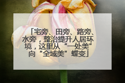 宅旁、田旁、路旁、水旁，整治提升人居环境，这里从“一处美”向“全域美”蝶变