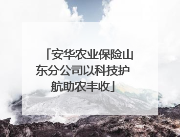 安华农业保险山东分公司以科技护航助农丰收