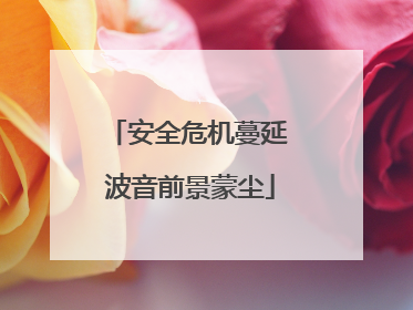 安全危机蔓延 波音前景蒙尘