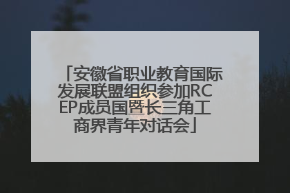 安徽省职业教育国际发展联盟组织参加RCEP成员国暨长三角工商界青年对话会
